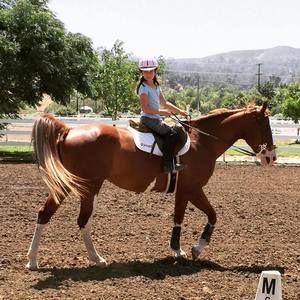 Meet your Posher, Michelle